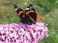Natur 0055